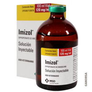 Imizol