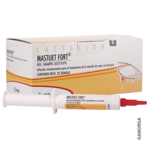 Mastijet Fort