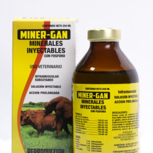 Miner-Gan
