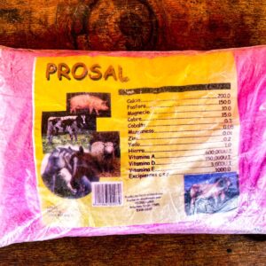 Prosal
