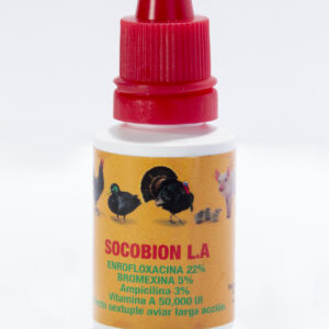 Socobion