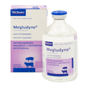 Megludyne