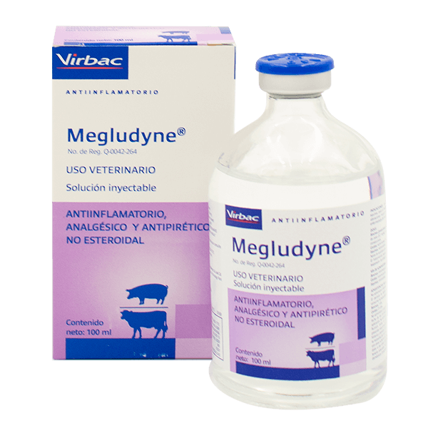 Megludyne