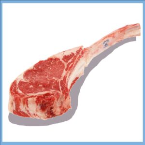 TOMAHAWK