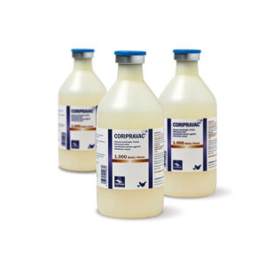 Coripravac AH 1000 dosis