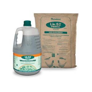 Liv.52 Protec Powder 20 kilos