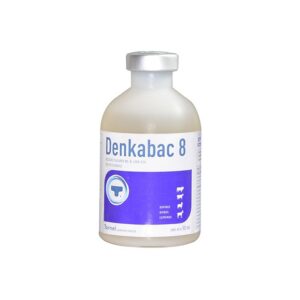 Denkabac 8