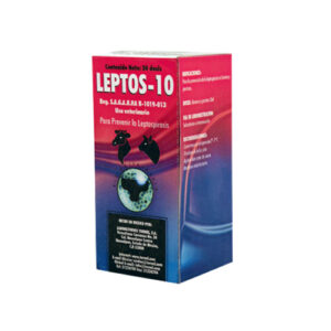 Leptos 10