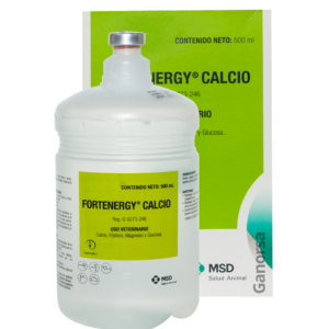 FORTENERGY CALCIO X 500 ML