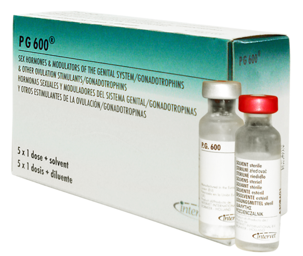 PG-600 5 x 5 ML.