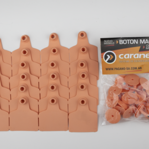 ARETE CARANEXT GRANDE