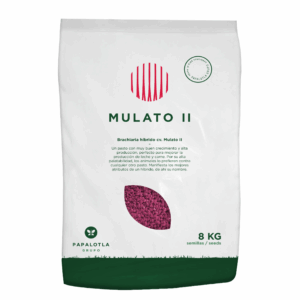 Mulato 1 Kg