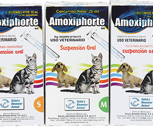 AMOXIPHORTE 30 ml