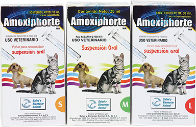 AMOXIPHORTE 30 ml