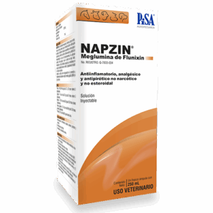 Napzin