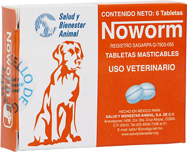 Noworm
