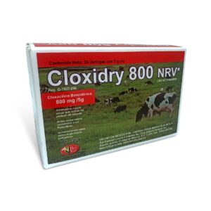 Cloxidry 800 NRV